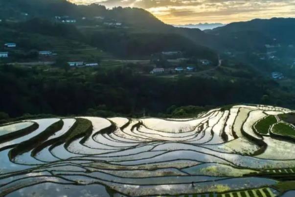 宜昌秋季旅游景点推荐 有哪些好玩的地方