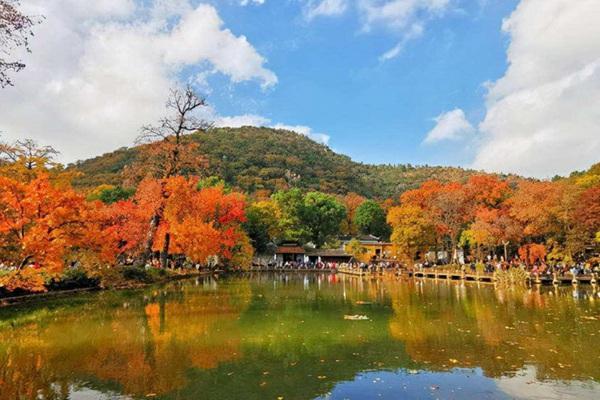 苏州天平山什么时候看枫叶最好