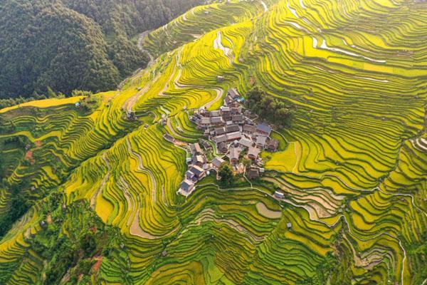 贵州秋天旅游哪里景色最美