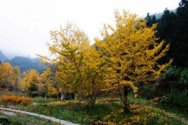 韶关秋季旅游去哪最好