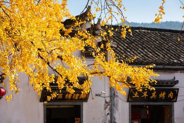 10月份安徽旅游最佳地方推荐 十大最美秋季旅游推荐