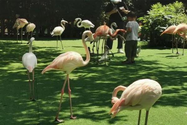 2022上海野生动物园旅游节门票半价吗
