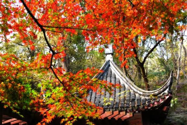 中国适合秋天旅游的城市