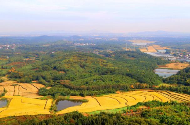 南京的乡村旅游景点推荐