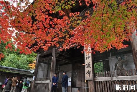 日本岚山枫叶几月看 京都岚山游览最佳时间