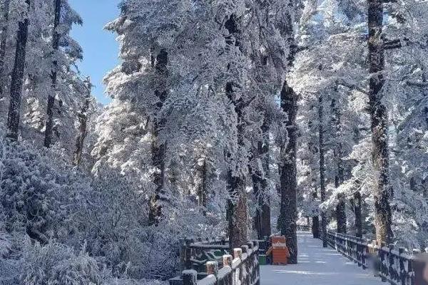 国内看雪景哪里最美