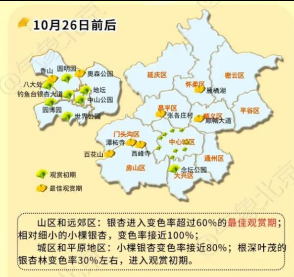 2022北京银杏观赏地全攻略