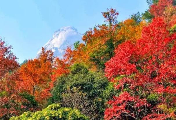 深圳秋天适合去哪里玩