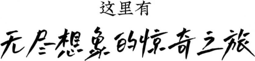 2023年1月17日第29届自贡国际恐龙灯会开幕 附时间、地点、特色等信息