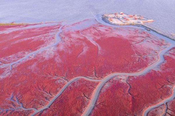 盘锦红海滩几月份去好 盘锦红海滩什么时候去最好