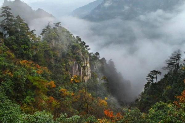 2023杭州大明山风景区最新门票免费活动 附活动时间及预约指南