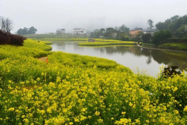 潼南油菜花2023好久开幕