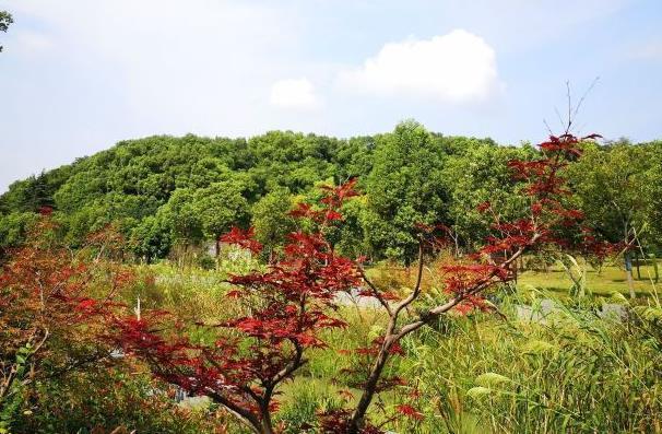 扬州适合踏青的地方有哪些 免费景点推荐