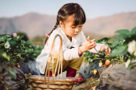 三百山镇春季旅游有哪些好玩的地方？这份踏春、赏花、摘草莓等好去处推荐