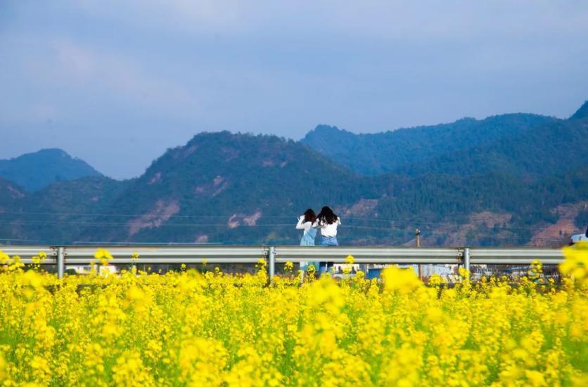 三百山镇春季旅游有哪些好玩的地方？这份踏春、赏花、摘草莓等好去处推荐