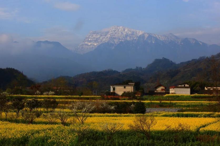 峨眉山市有哪些赏花的好地方？这份春季限定赏花地图来了