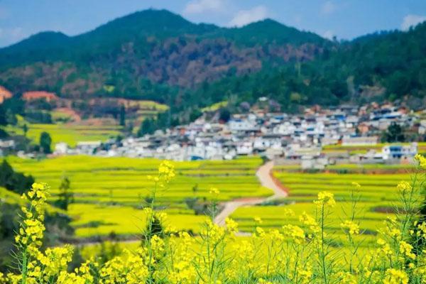 衡阳春季旅游最佳去处 最佳赏花的景点推荐