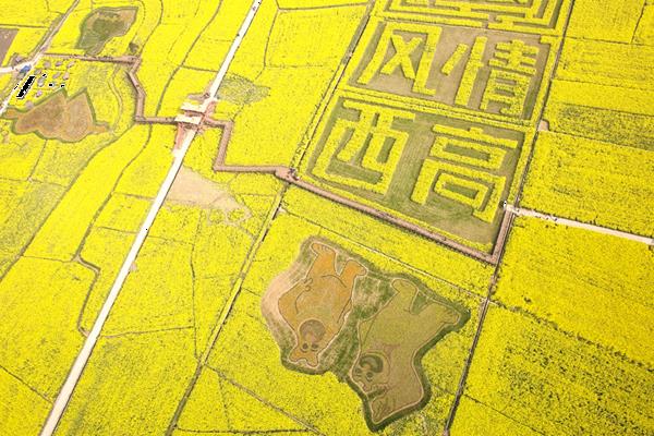 2023年四川春天第一期赏花攻略 附赏花游览指数+精品旅游线路