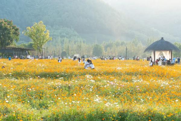 杭州五月份去哪玩比较好 15个最佳旅游景点推荐