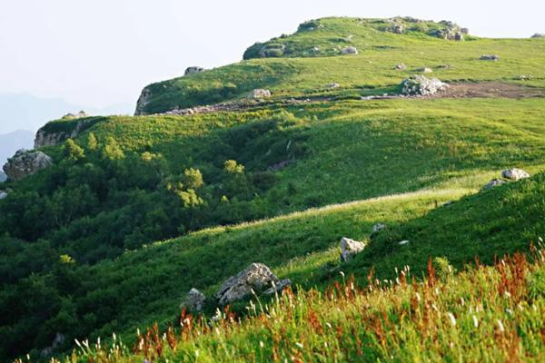 天津附近草原旅游去哪里好