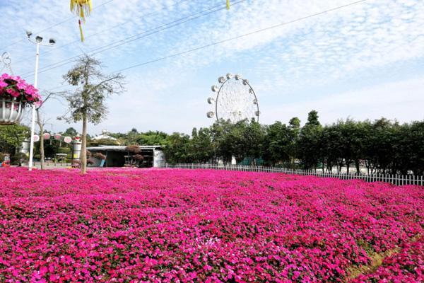 2023广州五一去哪旅游最合适 七大旅游最佳去处