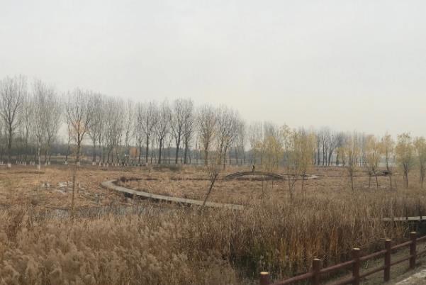 北京冬天适合骑行的公园有哪些