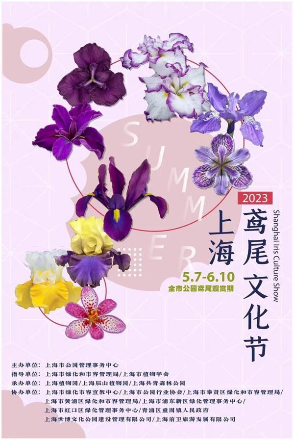 上海观赏鸢尾花的地方有哪些景点