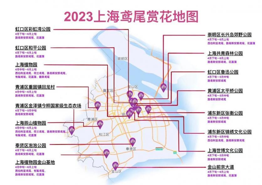 2023上海鸢尾花赏花地图 活动时间