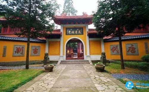 去径山寺交通攻略（怎么去+限行指南+新增线路）