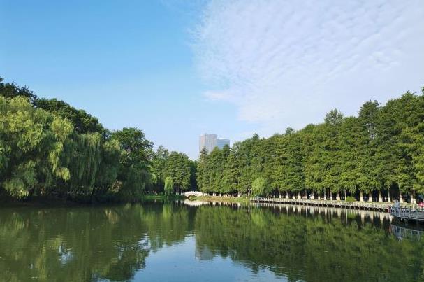 武汉的宝藏公园有哪些