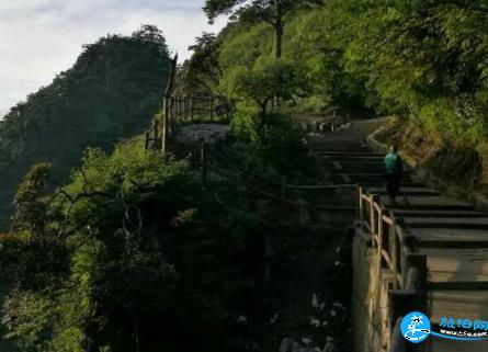 峨眉山景区内观光车运营时间、停靠站点、路线等介绍