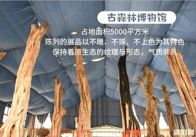 湖州龙之梦动物世界大酒店开业时间 门票价格多少钱