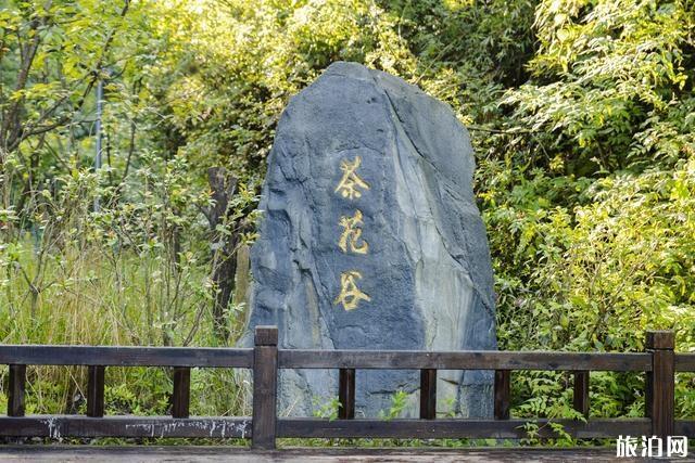 丰都南天湖景区游玩攻略 丰都南天湖景区好耍不