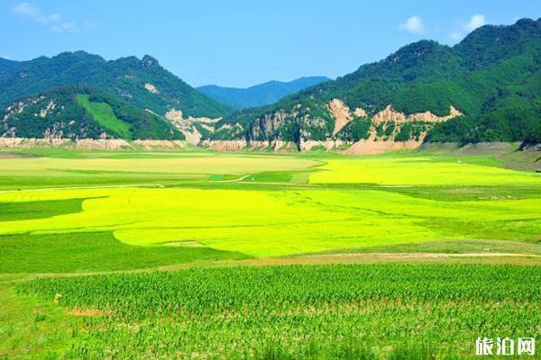 绿江村最适合几月去 绿江村最佳旅游时间和季节