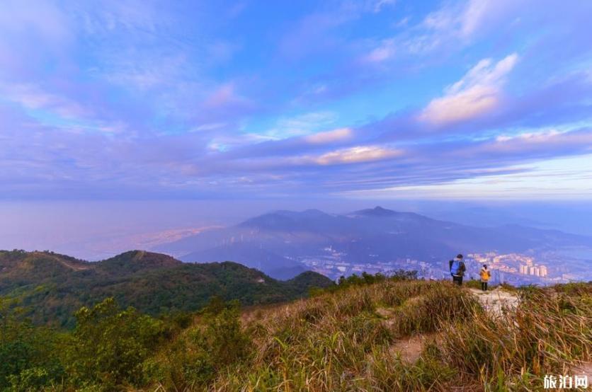 深圳梧桐山最佳路线图