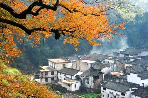 黄山秋景哪里最好 十大秋色最好的地方