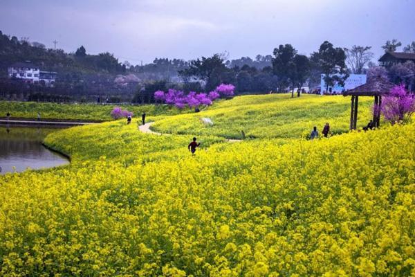 2023重庆教师节免费景区汇总