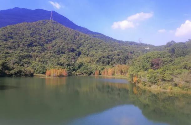 深圳小众旅游景点推荐