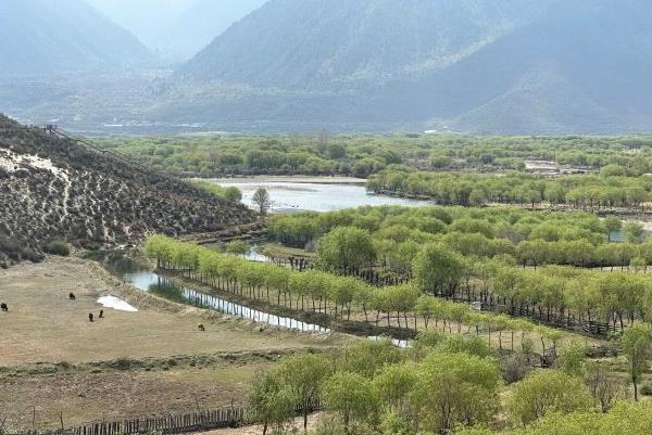 西藏旅游必去十大景点推荐