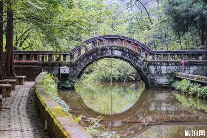 四面山旅游攻略一日游