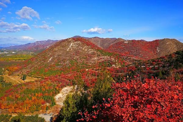 舞彩浅山哪个区段红叶最好 舞彩浅山入口