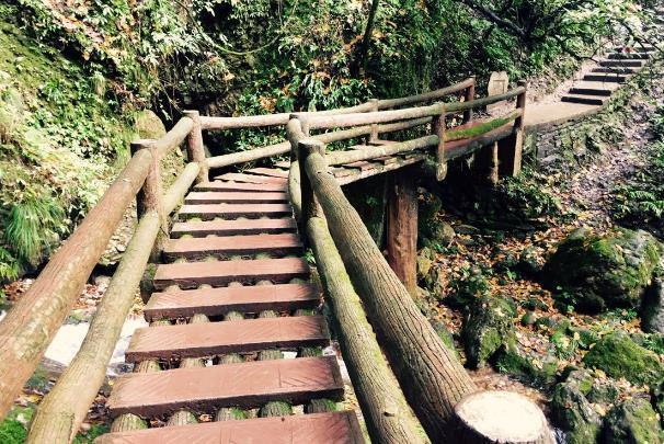 青城山后山旅游攻略一日游路线