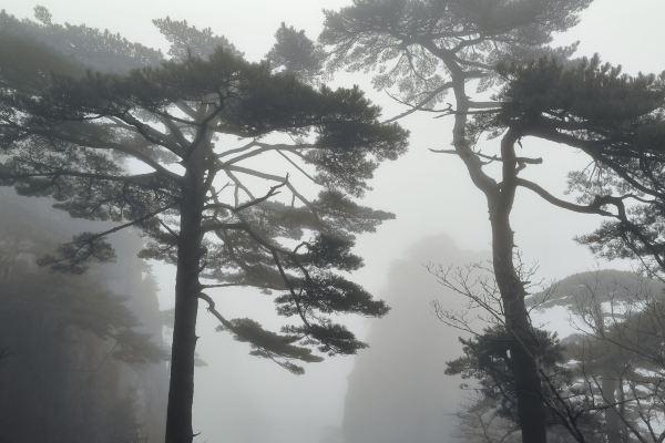 黄山冬天适合去吗 冬日看点推荐