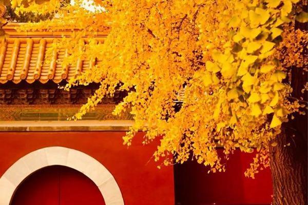 京津冀秋季周末两天一夜赏彩叶旅游线路推荐