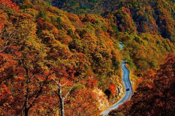 安徽秋天看红叶的好去处 最佳观赏地点推荐