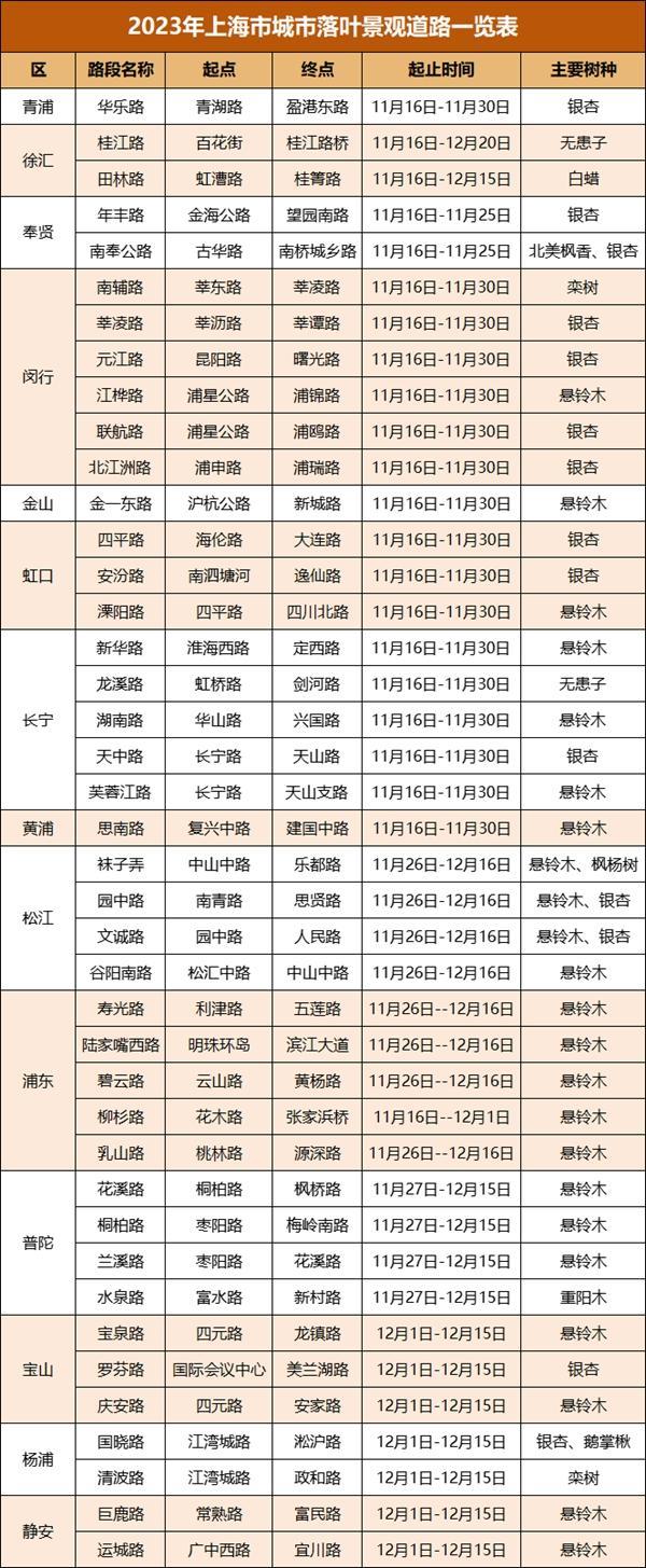 2023上海落叶不扫景观道路的地方有哪些