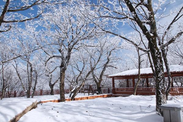 襄阳横冲国际滑雪场在哪里 怎么去最方便