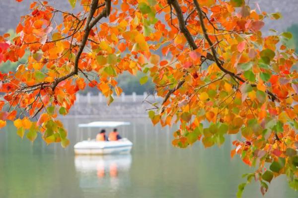 南京秋天哪里最美 十大秋景最好的地方