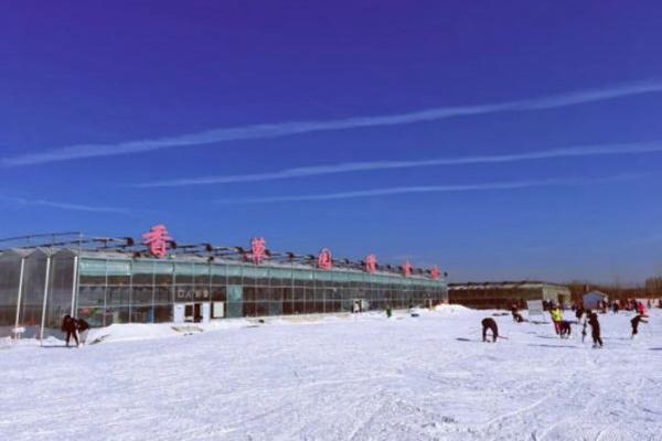 济南滑雪场哪个好玩 每一个体验感都很棒