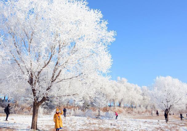 东北赏雪好去处 看雪景最美的地方有哪些